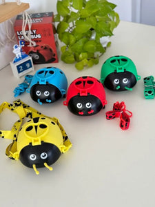 Lady Bug Water Bottle Sipper