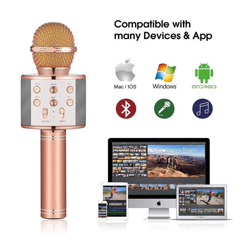 Wireless Bluetooth Karaoke Handheld Microphone With USB